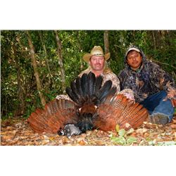 BALAM MEXICO 7-Day Hunt in Campeche Jungle for 2 Hunters