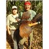 Image 2 : BALAM MEXICO 7-Day Hunt in Campeche Jungle for 2 Hunters