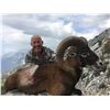 Image 2 : SAFARI INTERNATIONAL MACEDONIA 5-Day Mouflon Hunt for 1 Hunter and 1 Non-Hunter in Macedonia