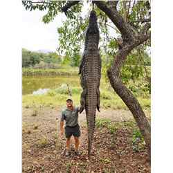 BOSCHNEL SAFARIS Authentic 7-day South African Crocodile Hunting Adventure for 2 hunters