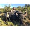 Image 1 : MAPU HUNTING LODGE 5-day Free Range Argentinian Water Buffalo and Wild Boar Hunt with 1 day of Dove