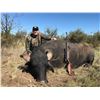 Image 2 : MAPU HUNTING LODGE 5-day Free Range Argentinian Water Buffalo and Wild Boar Hunt with 1 day of Dove