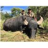 Image 3 : MAPU HUNTING LODGE 5-day Free Range Argentinian Water Buffalo and Wild Boar Hunt with 1 day of Dove