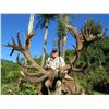 Image 5 : KURANUI NEW ZEALAND HUNTING 5-Day Hunt for Rusa Stag & Red Stag in New Zealand for 2 Hunters