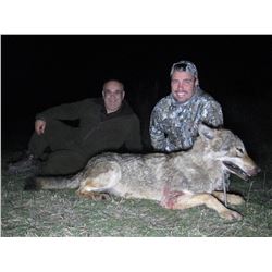 SAFARI EHA Wolf Hunt in Macedonia for 2 Hunters