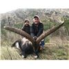 Image 4 : Giuseppe Carrizosa SPAIN (SCI's 2009 Int'l Professional Hunter of the Year) is donating a Pyrenean C