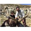 Image 5 : Giuseppe Carrizosa SPAIN (SCI's 2009 Int'l Professional Hunter of the Year) is donating a Pyrenean C