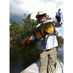 ACUTE ANGLING 6-Day Amazon Peacock Bass and Exotic Species Fishing Trip