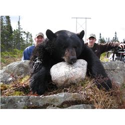 DEEP COUNTRY LODGE 5-Star 5-Day Trophy 2 Tag Black Bear Hunt in St. Johns Newfoundland, Canada