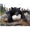 Image 1 : DEEP COUNTRY LODGE 5-Star 5-Day Trophy 2 Tag Black Bear Hunt in St. Johns Newfoundland, Canada