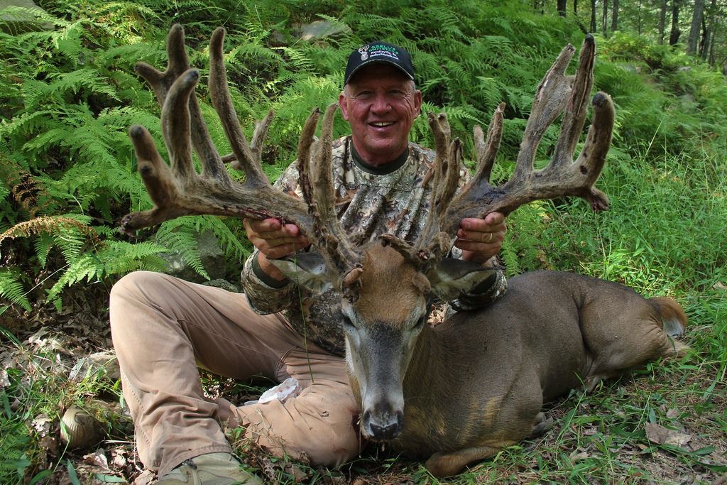 GSELL'S WHITETAILS 4 Day Whitetail Deer Hunt for 1 Hunter in Pennsylvania