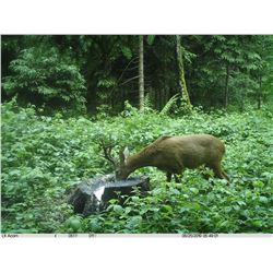 SAFARI INTERNATIONAL MACEDONIA 5-Day Roe Deer hunt for 1 Hunter and 1 Non-Hunter in Macedonia