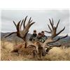 Image 1 : EXCLUSIVE ADVENTURES NEW ZEALAND 5-Day Red Stag Hunt and Luxury Helicopter Picnic for 2 Hunters and