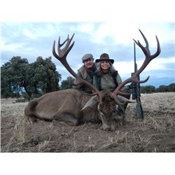 CAZATUR 4-Day Hunt for Iberian Red Deer, European Fallow deer, or Iberian Mouflon Sheep Hunt in Spai