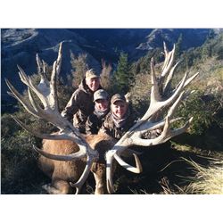 SPEY CREEK TROPHY HUNTING 5-Day Stag Hunt for 2 Hunters in New Zealand