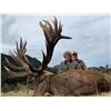 Image 2 : SPEY CREEK TROPHY HUNTING 5-Day Stag Hunt for 2 Hunters in New Zealand