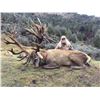 Image 4 : SPEY CREEK TROPHY HUNTING 5-Day Stag Hunt for 2 Hunters in New Zealand
