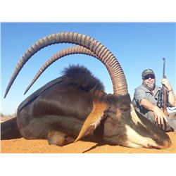 QUAGGA SAFARIS 7-Day South Africa Safari for 2 Hunters including (2) Sable trophy bulls up to 40" cl