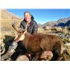 Image 1 : FOUR SEASONS SAFARIS NEW ZEALAND 4-Day Red Stag, Tahr and Chamois Hunt for 2 Hunters