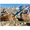 Image 3 : FOUR SEASONS SAFARIS NEW ZEALAND 4-Day Red Stag, Tahr and Chamois Hunt for 2 Hunters