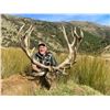 Image 4 : FOUR SEASONS SAFARIS NEW ZEALAND 4-Day Red Stag, Tahr and Chamois Hunt for 2 Hunters