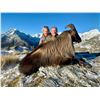 Image 5 : FOUR SEASONS SAFARIS NEW ZEALAND 4-Day Red Stag, Tahr and Chamois Hunt for 2 Hunters