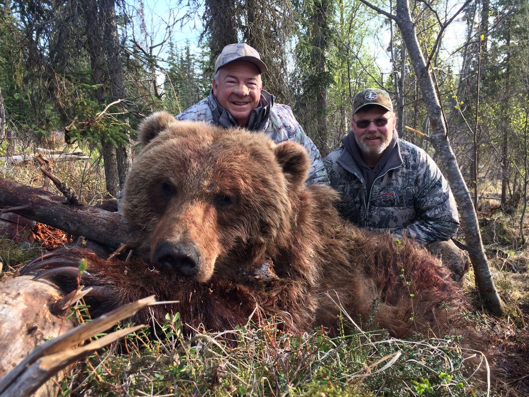 RWS GUIDE SERVICE 1x1 Guided 10Day Alaska Brown Bear Hunt