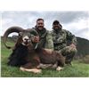Image 2 : TROPHY HUNTING SPAIN 4-Day Hunt in Spain for Iberian Mouflon Sheep for 1 Hunter and 1 Non-Hunter in