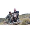 Image 4 : TROPHY HUNTING SPAIN 4-Day Hunt in Spain for Iberian Mouflon Sheep for 1 Hunter and 1 Non-Hunter in