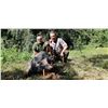 Image 1 : SAFARI ART Wild Boar Hunt for 2 Hunters in Serbia