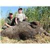 Image 3 : SAFARI ART Wild Boar Hunt for 2 Hunters in Serbia