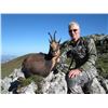 Image 1 : SPANISH IBEX AND CHAMOIS Great Cantabrian Chamois Hunt Without Size Limit for 1 Hunter in Castilla L