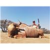 Image 1 : SADAKA SAFARIS 6-Day amazing South African Bushveld Safari for 2, 3, or 4 hunters with Trophy Fee Cr