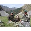 Image 1 : SAFARI ART Balkan Chamois Hunt for 2 Hunters in Serbia