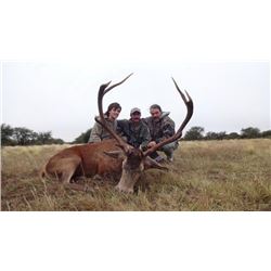 MG HUNTING 5-Day Red Stag Hunt for 1-Hunter.