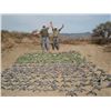 MG HUNTING 3-Day Dove and Pigeon Hunt for Up to 6 Hunters in Argentina