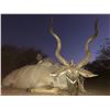 Image 1 : TROMPETTERSFONTEIN SAFARIS Exclusive 6-Day Hunt for 1-Hunter and a Buddy for Impala, Blue Wildebeest