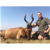 Image 2 : TROMPETTERSFONTEIN SAFARIS Exclusive 6-Day Hunt for 1-Hunter and a Buddy for Impala, Blue Wildebeest