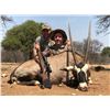 Image 3 : TROMPETTERSFONTEIN SAFARIS Exclusive 6-Day Hunt for 1-Hunter and a Buddy for Impala, Blue Wildebeest
