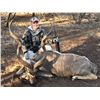 Image 8 : TROMPETTERSFONTEIN SAFARIS Exclusive 6-Day Hunt for 1-Hunter and a Buddy for Impala, Blue Wildebeest