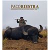 Image 2 : PACO RIESTRA 4-Day Red Stag Hunt for 2 to 8 Hunters in Beautiful Argentina.