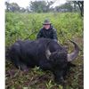 Image 1 : CAZA Y SAFARIS ARGENTINA 5-Day Water Buffalo hunt for 1 hunter in Buenos Aires