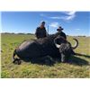 Image 2 : CAZA Y SAFARIS ARGENTINA 5-Day Water Buffalo hunt for 1 hunter in Buenos Aires