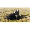 Image 3 : CAZA Y SAFARIS ARGENTINA 5-Day Water Buffalo hunt for 1 hunter in Buenos Aires