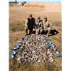 Image 1 : CAZA Y SAFARIS ARGENTINA 5-Day Wing-Shooting hunt for up to 4 hunters