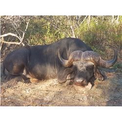EPIC HUNTING SAFARI 7-day/6-night Cape Buffalo Hunt for one hunter in South Africa