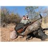 Image 3 : EPIC HUNTING SAFARI 7-day/6-night Cape Buffalo Hunt for one hunter in South Africa