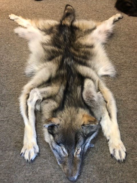 Flint Wolf