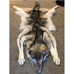 Updated: Tanned Wolf Skin/Skull Mount or Tanning of a Black Bear or Wolf or Cougar–Flint Fur Tannery