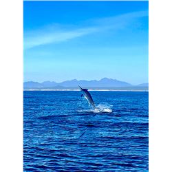 San Jose del Cabo - 1 Day Offshore Fishing for 5 – Rocky Mountain Equipment